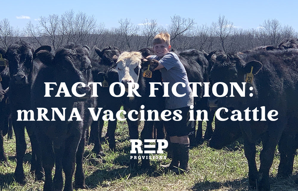 FACT CHECK: mRNA Vaccines For Cattle – Fact vs Fiction