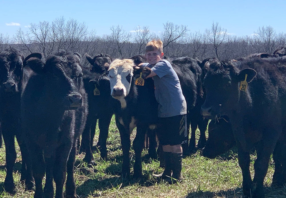 Hanging with the cows.