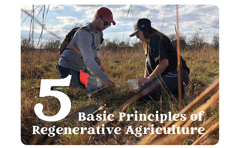 5 Principles of Regenerative Agriculture Explained – REP Provisions