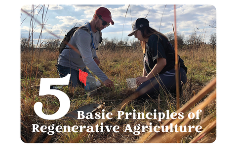 5 Principles of Regenerative Agriculture Explained