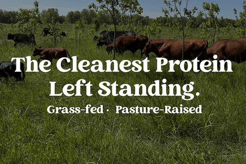 Grass-Fed and Pasture Raised: The Cleanest Protein Sources Left Standing