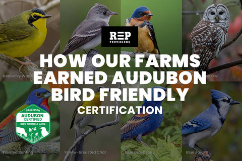 How Our Beef Farms Earned Audubon Bird Friendly Certification