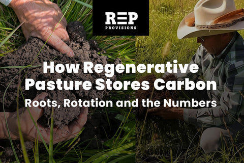 How Regenerative Pasture Stores Carbon: Roots, Rotation and the Numbers