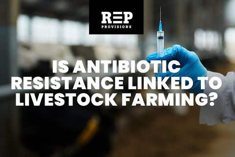Is Antibiotic Resistance Actually Linked to Livestock Farming?