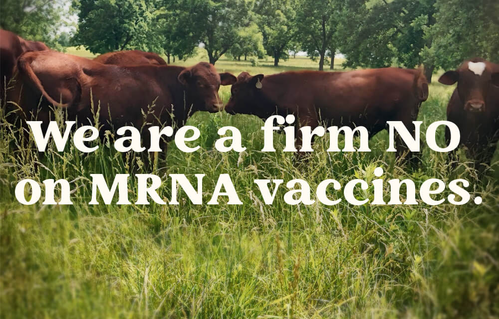 Why Our Farm Won’t be Adopting mRNA Vaccines for Livestock. Ever. REP Provisions