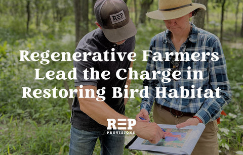 Regenerative Farmers Restoring Bird Habitat