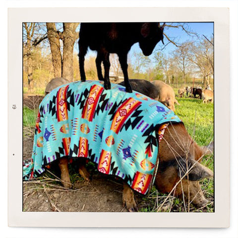The Roundup - Weekly Photos from the Ranch 5/1-5/7