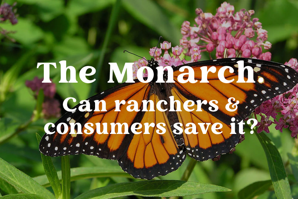 Can Regenerative Agriculture Help Save the Monarch Butterflies? REP Provisions