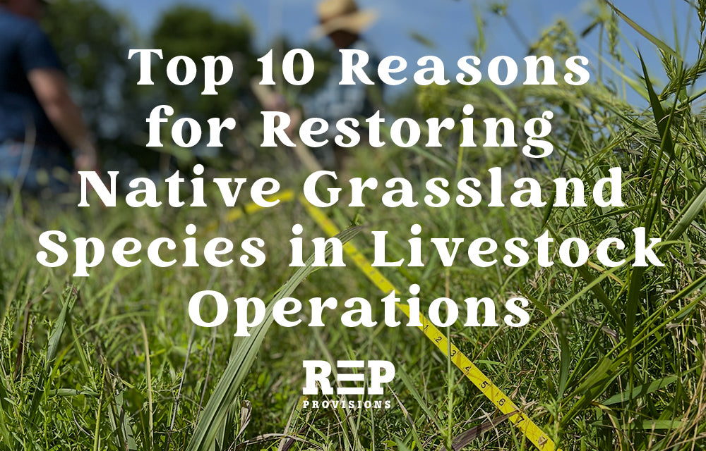 Top Ten Reasons for Restoring Native Grassland Species in Livestock Operations