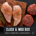 Cluck & Moo Box featuring seasoned grass-fed ground beef and pasture raised chicken breasts. REP Provisions regenerative farmed meats.