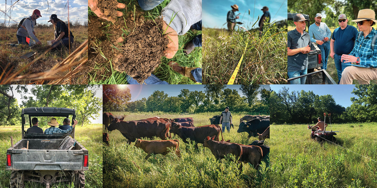 REP Provisions on the land doing regenerative work