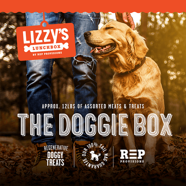 Lizzys_Lunchbox_Dog_Treat_Box_