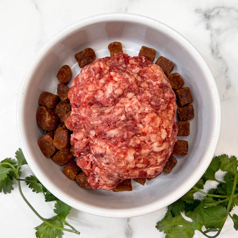 Raw grass-fed ground beef for dogs served over dog food in a white bowl