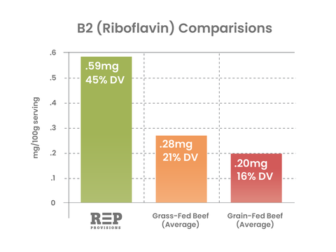 B2 VITAMIN (Riboflavin)
