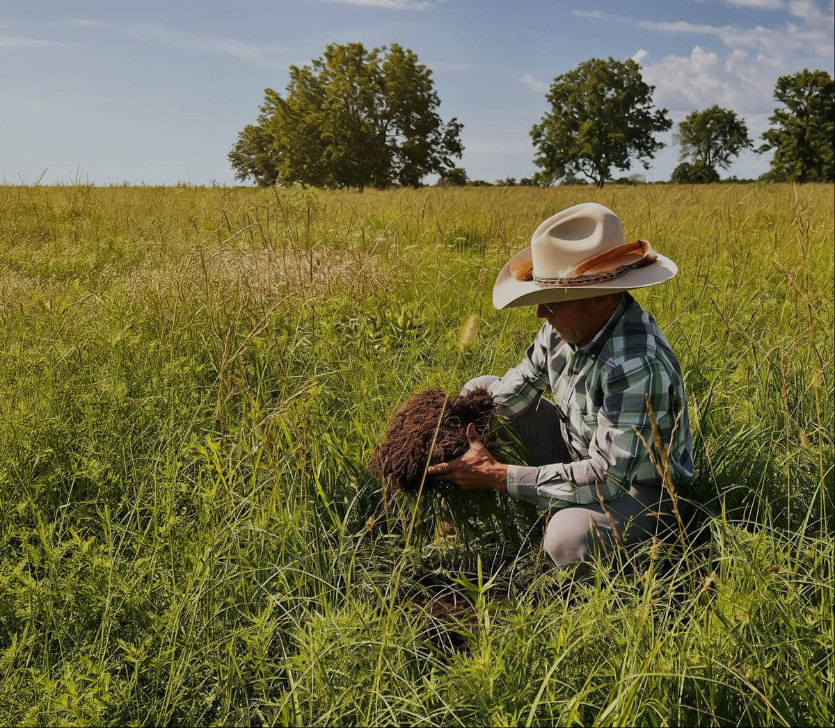 Holding a handful of healthy regenerative soil