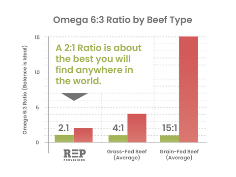 OMEGA 6:3 BALANCE