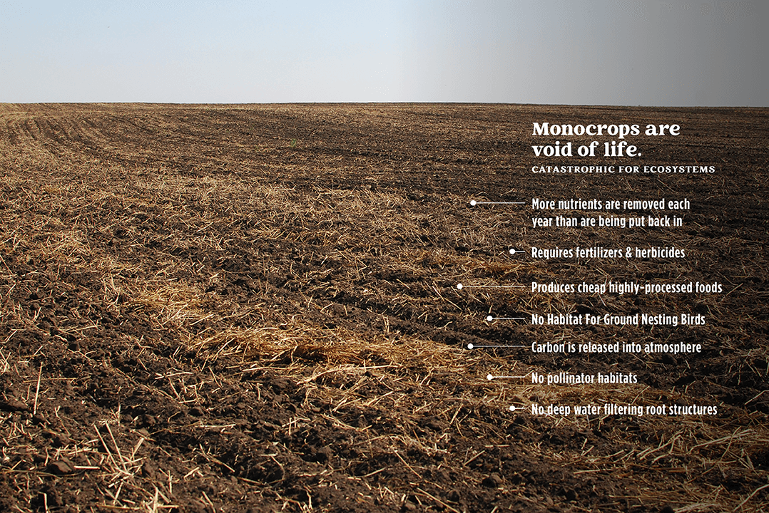 Illustration of conventional agriculture