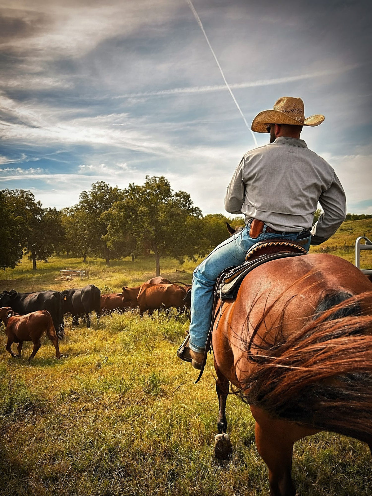 A rider on horseback with a rope beside a white barn hung with the American flag