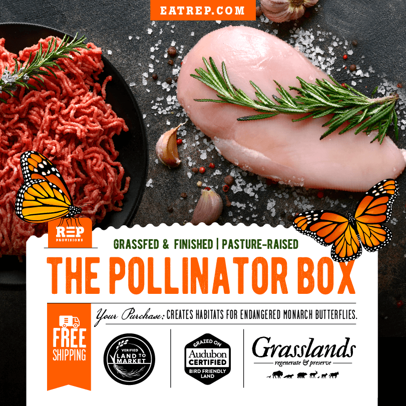 REP Pollinator Box